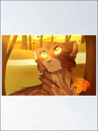 Qui est la fille d'Étoile de Feu qui veut suivre la voie de guérisseuse ?