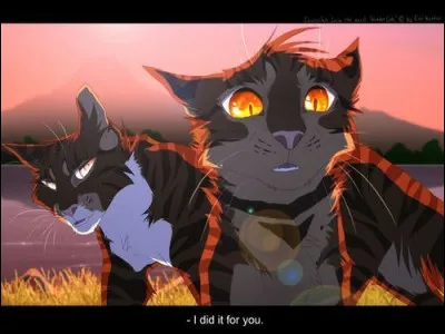 Et maintenant petite séance sur Plume de Faucon. Qui est Plume de Faucon pour Griffe de Ronces ?