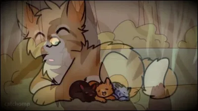 Vous découvrez un peu tard quHymne du Vent attend des chatons. Que fais-tu ?