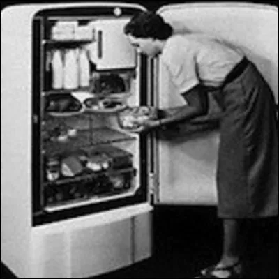 Pouvait on conserver ses produits alimentaires au réfrigérateur ?