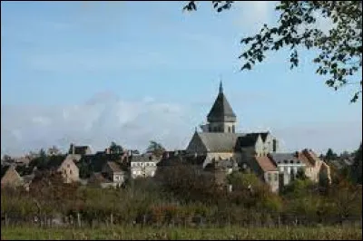 Commune de l'aire d'attraction Castelroussine, Saint-Marcel se situe en région ...