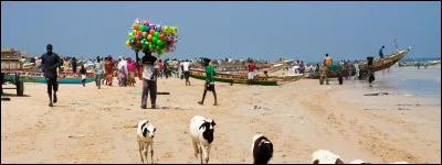 Comment s'appellent les Français qui vivent au Sénégal ?