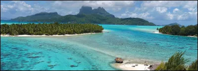 Quelle activité préfères-tu parmi ces quatre ?