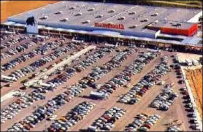 Ce groupe succursaliste, issu de la fusion de trois sociétés régionales, ouvre les premiers supermarchés Suma en 1960 puis des hypermarchés Mammouth ; elle rachète plusieurs autres sociétés succursalistes dans les années 1970/80 et devient l'une des principales entreprises de la grande distribution ; elle fait l'objet d'une OPA par Auchan en 1996 et disparait : de quelle société s'agit-il ?