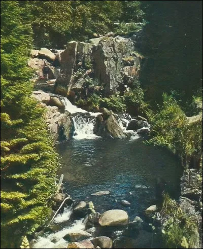 Celui de carpe se passe de perche, c'est le...