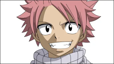 Quel est le nom de famille de Natsu ?