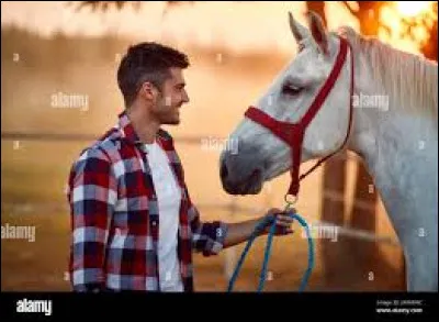 Sais-tu diriger ton cheval à pied ?