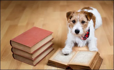 Quel est le compositeur du "Carmina Burana", une composition musicale chorale célèbre ?