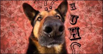 Qui a développé la théorie des jeux, une branche des mathématiques appliquée à la stratégie et à la prise de décision ?