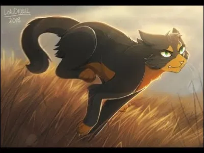 On va dire que tu tes enfui. Après être sorti en douce par le petit coin, tu cours sans tarrêter, avant de te rendre compte que tu as dépassé la frontière du clan de lOmbre !