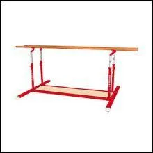 Comment s'appellent les barres pour garons ?