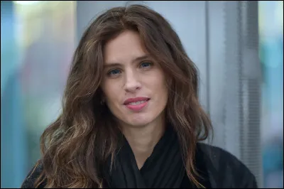 Ce sont tous des films de Maïwenn. Lequel est "Polisse" ?