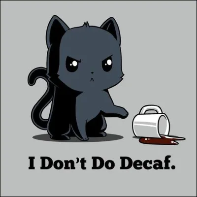 Maintenant, quel est le mot qui décrit votre chat ?