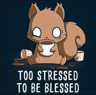 Comment est votre chat, physiquement ?