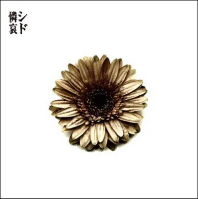 Le 22 décembre 2004, ils sortent leur premier album dont le titre est...