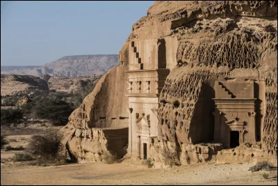 Cette Ancienne cité des Nabatéens, est un site du Hijâz saoudien, à 300 km au nord-ouest de Médine. Cest une oasis qui a été occupée dès le Ve siècle av. J. -C. et qui est devenue, dans la deuxième moitié du 1er siècle av. J. -C., une des villes nabatéennes les plus importantes en Jordanie. Quelle est-elle ?