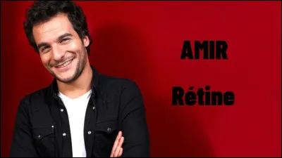 Quel est le premier métier du chanteur Amir ?