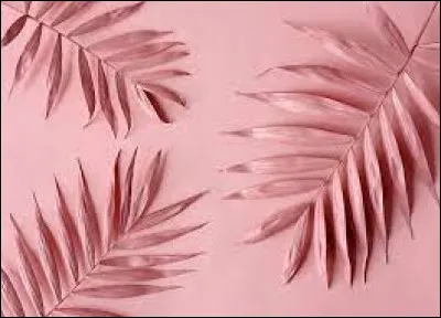 La couleur "rose" se dit "pink" en allemand.