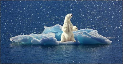 Quel est le rôle de la fonction d'onde en mécanique quantique, et comment elle décrit l'état d'une particule ?
