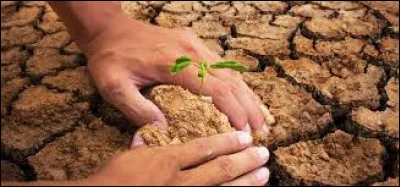 Qu'est-ce que l'effet de serre ?