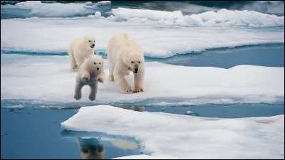 Qu'est-ce que l'élévation du niveau de la mer ?