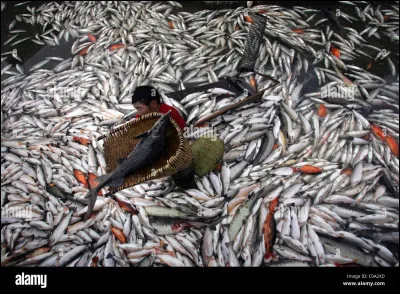 Qu'est-ce que l'empreinte carbone d'une personne ?