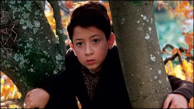 Dans l'uvre de Bazin, de quoi Jean, dit Brasse-Bouillon, est-il victime ?