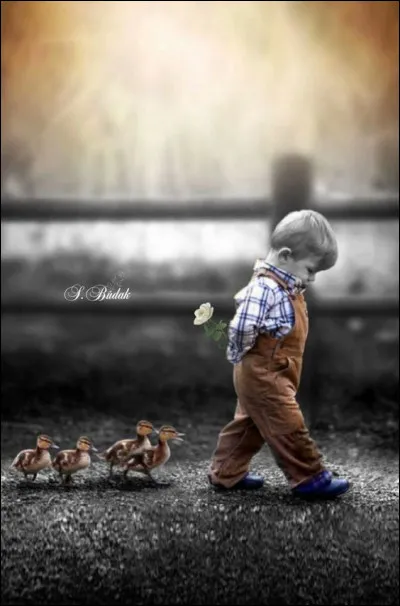 Qui évoque la tristesse de l'enfant face à la séparation de ses parents, en chantant "Petit, n'écoute pas ta mère pleurer, tant pis si elle a du chagrin, va-t'en courir dans le jardin, écoute le vent quand il va tomber, il te dira où il va se coucher, il te dira pourquoi il se met en colère, il te dira pourquoi j'ai fait pleurer ta mère..." ?