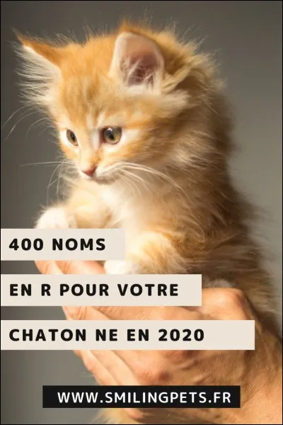 Quel est ton nom ?