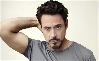 Quel est le nom du super-héros interprété par Robert Downey Jr. ?