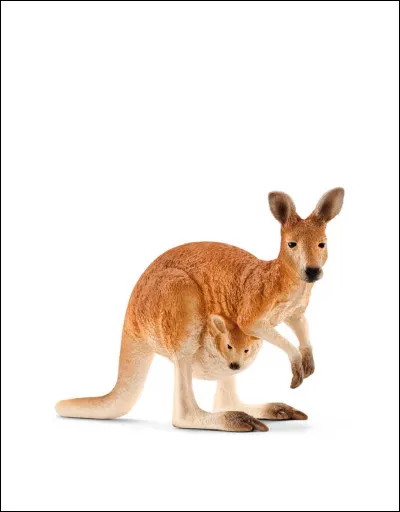 Dans quel pays trouve-t-on des kangourous ?