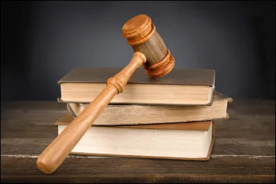 Le personnage principal se bat pour la justice.