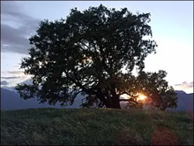 Le premier livre de François Mauriac, c'est...
