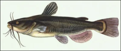 Pour Claude Courchay, en 1987, quel mois est cruel ?