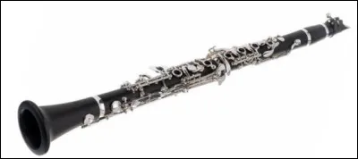 Quel est cet instrument de musique en C de la famille des bois ?