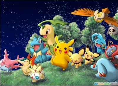 Jeux de cartes et vidéos : En quoi consistent les jeux Pokémon ?