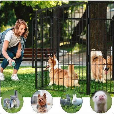 Et à quelle vitesse peut il courir ?