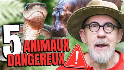 Quel est l'animal le plus dangereux au monde ?