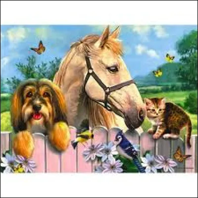 Quel animal est considéré comme le meilleur ami de l'homme ?