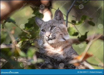 Que voudrais-tu comme début de nom ?