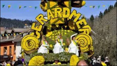 Quelle fleur est à l'honneur tous les deux ans à Gérardmer ?