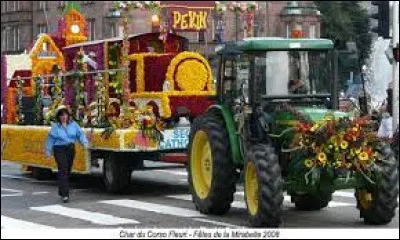 Nous sommes en Lorraine, donc d'après-vous quel fruit est fêté à Metz, au mois d'août ?