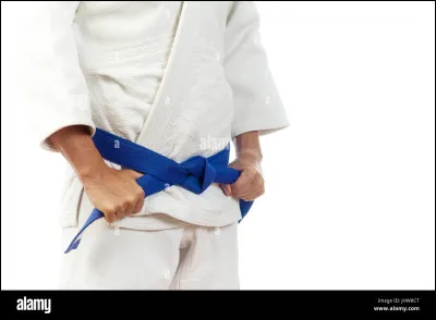Au judo, la ceinture bleue est la ceinture qui précède la ceinture marron.