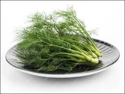 Aneth : de quoi cette herbe aromatique a-t-elle le goût ?