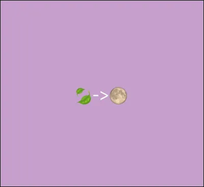 Qui est cette ancienne guérisseuse ?