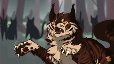 Combien de batailles a eu lieu avec le Clan de l'Ombre ?