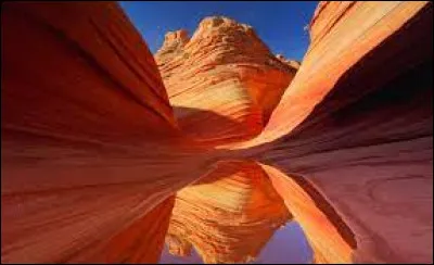 Quel est le nom du désert situé dans le sud-ouest des États-Unis et le nord du Mexique ?