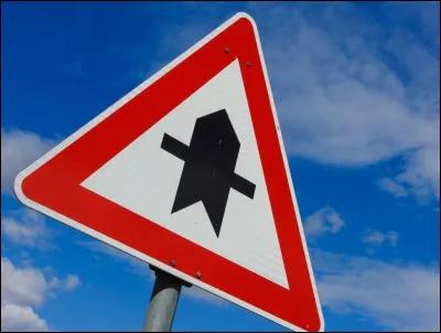 Et pour finir ce quiz ultra simple, est-ce un chat ?