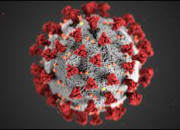 Quiz Alerte Coronavirus ! Connaissez-vous la Covid-19 ?