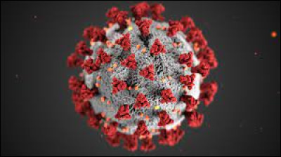 Par quel virus est causée la Covid-19 ?
